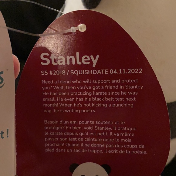 Stanley Squishmallow - Picture 3 of 3